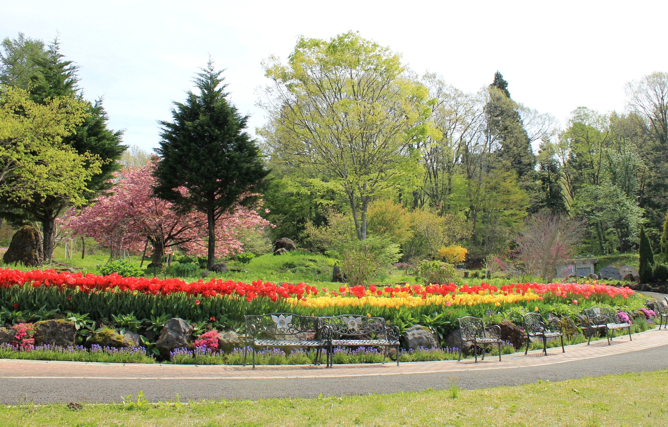 🌿 타자와코 허브 가든 하트 허브 이미지 6